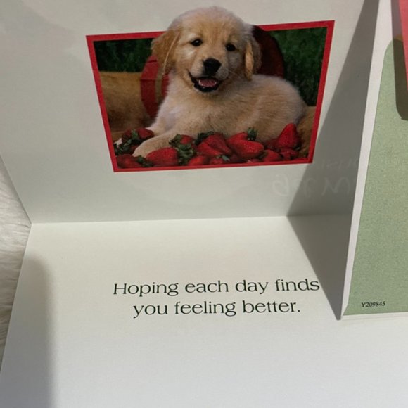 6 Assorted Greeting Cards Animals & Flowers  matching print envelopes - Picture 4 of 14